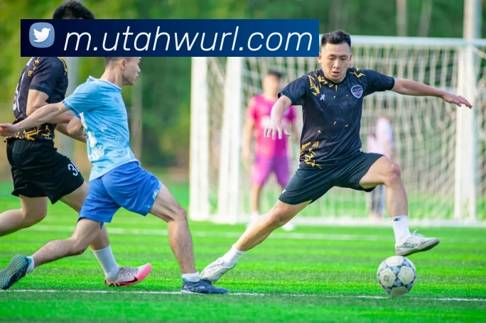 扫码下载 App